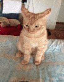 nars粉底膏,nars粉底膏色号