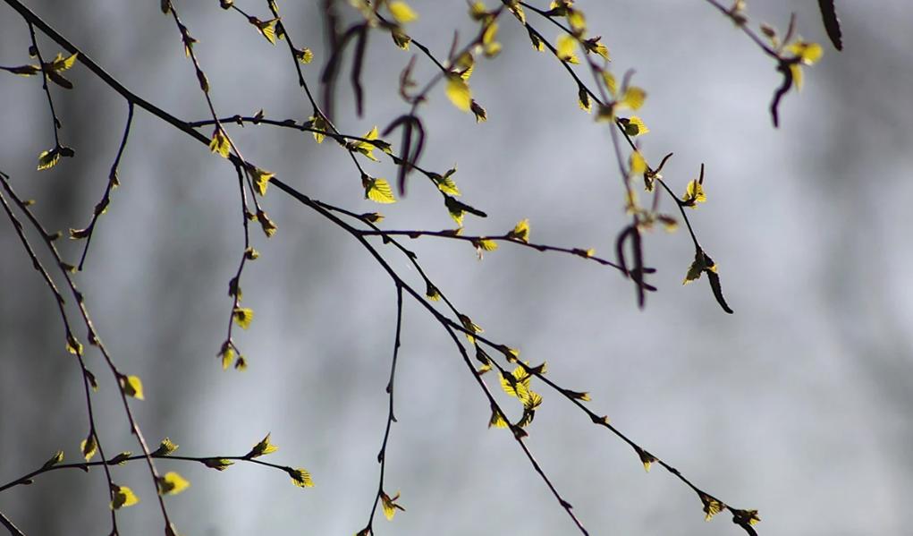 享健康视频,享健康