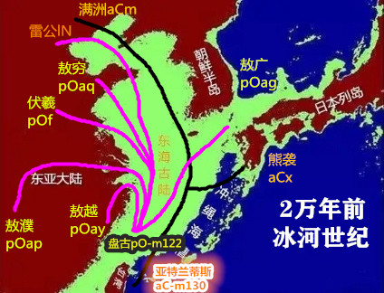 血统aCmfZ-cts4660+是瑶族盘瓠女婿郑元瑞,亚特兰蒂斯扶桑族