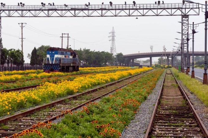 带你领略美丽的秦皇岛,带你游玩秦皇岛