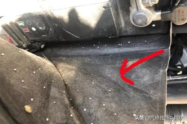 看这位车主是怎样防止猫鼠钻进发动机舱打窝的，这个方法值得推荐