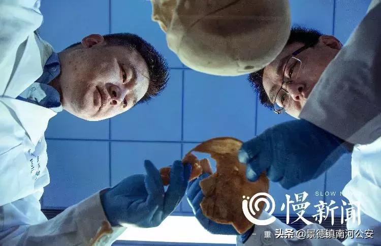 法医悬疑系列电影,10部好看的法医悬疑电影