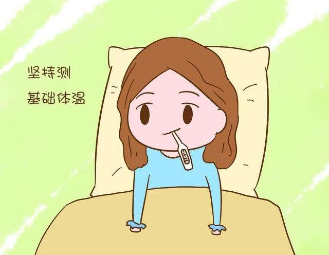 基础体温监测排卵的方法,普通排卵试纸怎么看