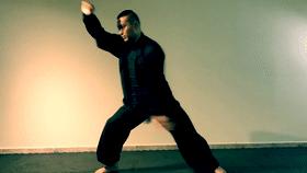 武术技法的整体原理,武术功力分为明劲暗劲化劲