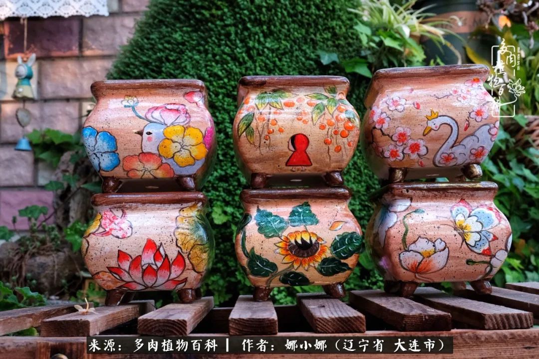 你是盆我是花，你护我周全，我为你绽放