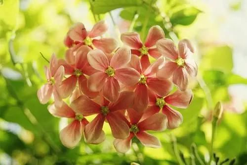 人到中年有什么理由谈自由,中年人谈什么自由