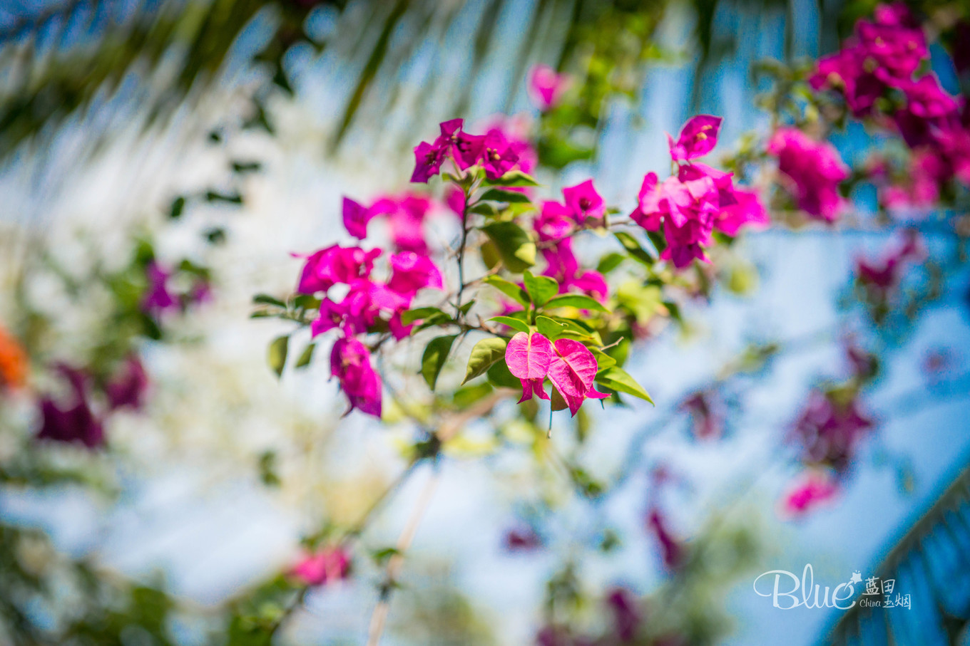 三亚千古情景区每天人流,三亚千古情每天都有表演吗