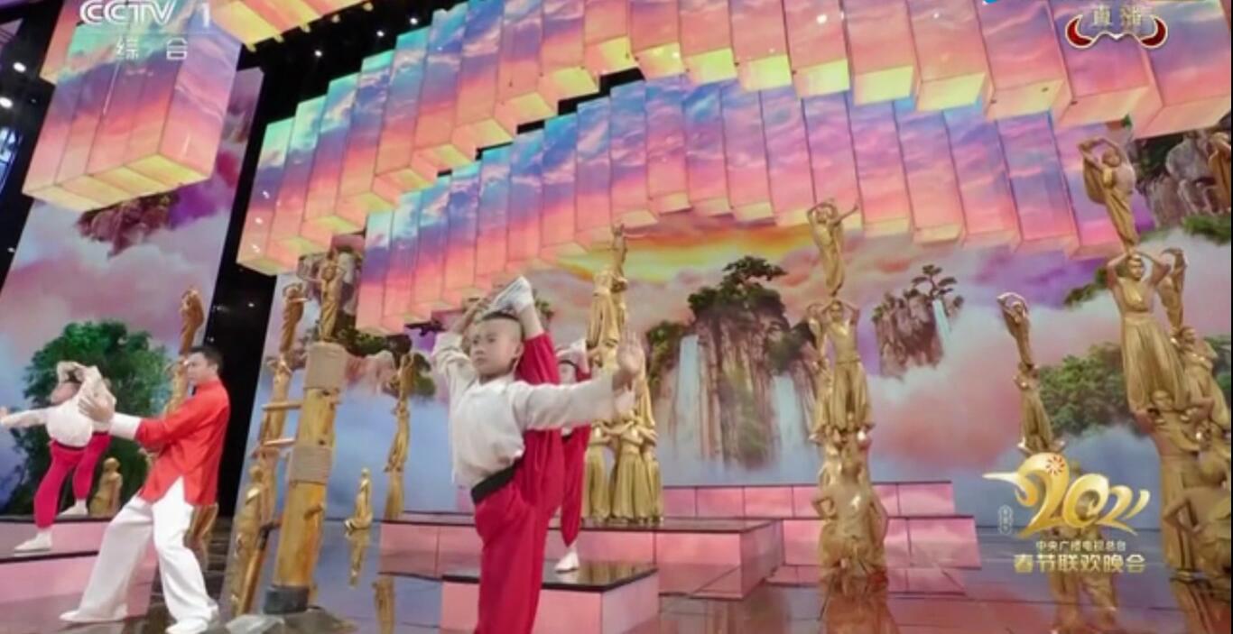 少林塔沟武校实力展示,塔沟武校从哪一年开始登上春晚