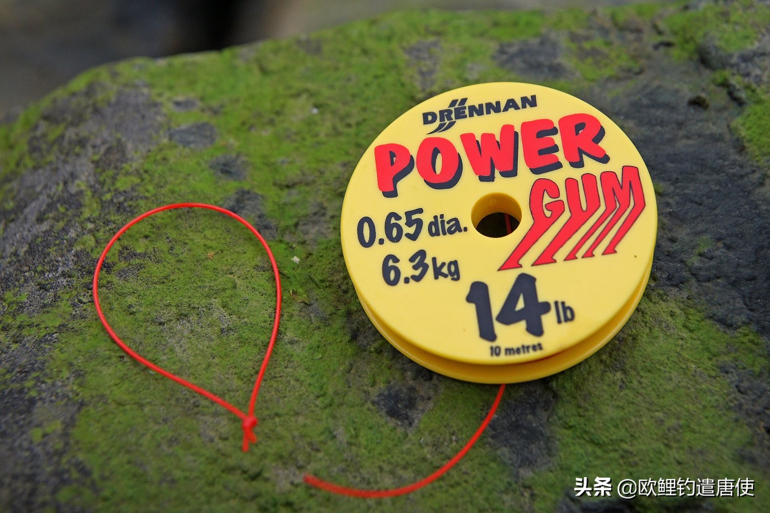 欧鲤钓鱼抛投技巧视频,话说欧鲤钓之抛投篇