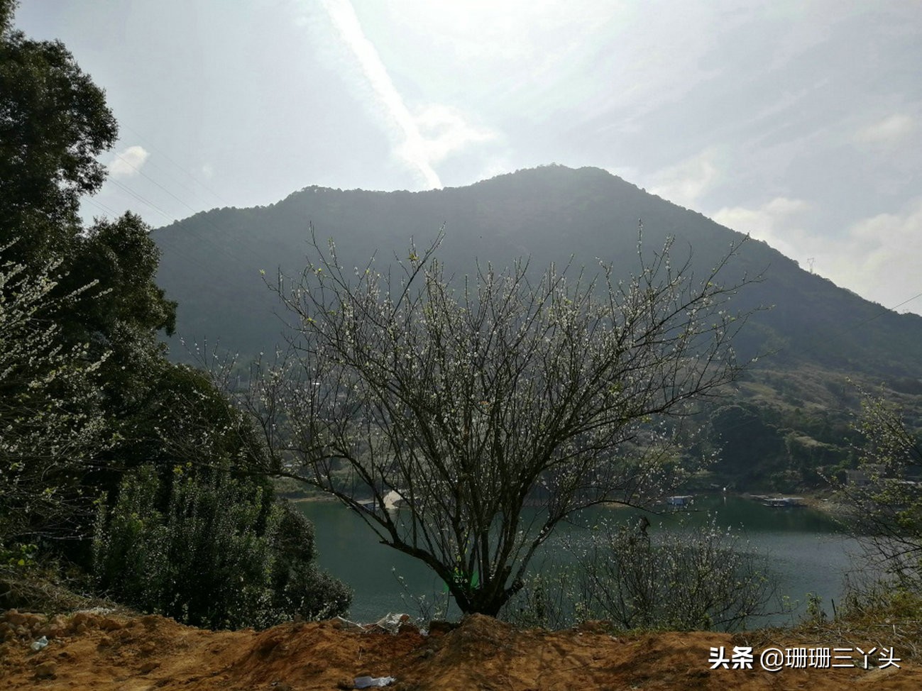 广州的后花园,广州的后花园是哪