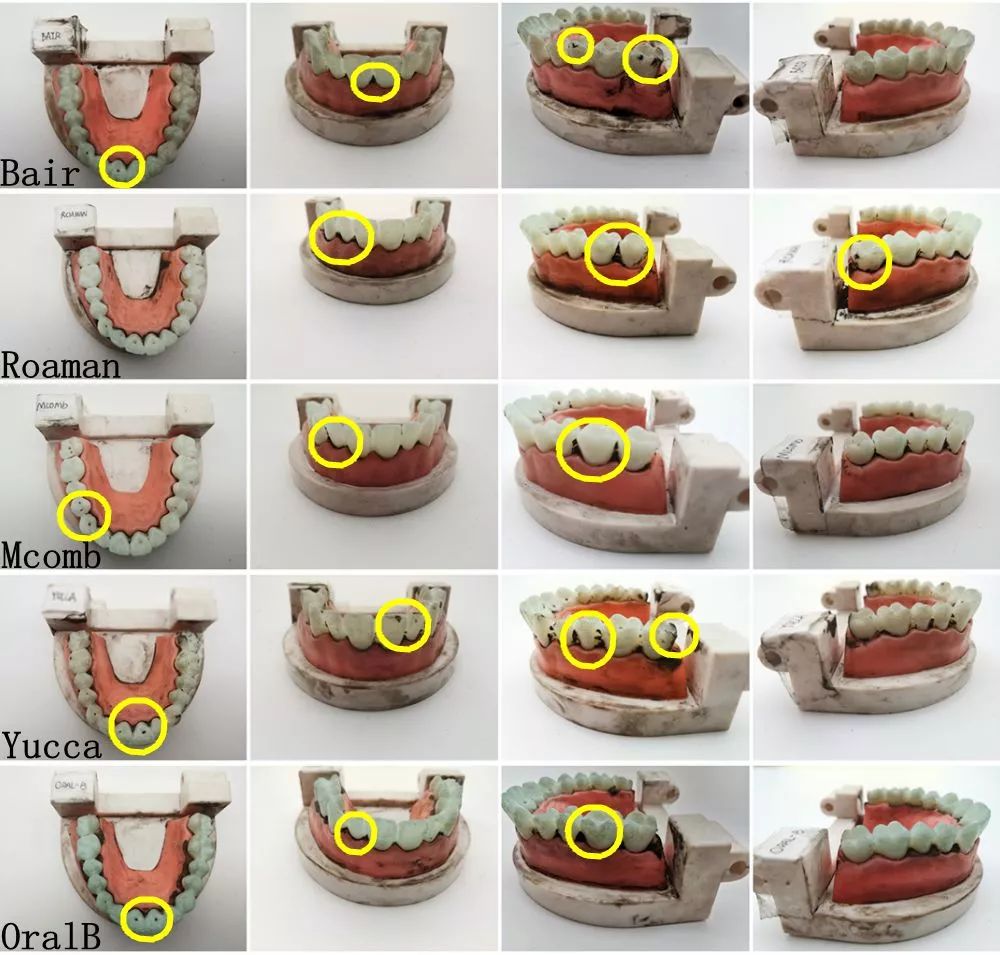 儿童电动牙刷测评哪个刷的干净,电动牙刷清洁能力测评