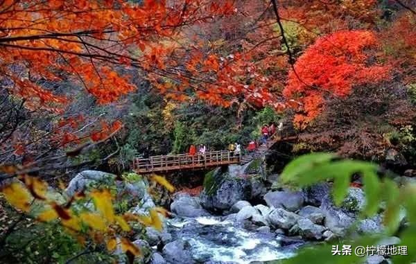 陕西云雾山在哪,陕西云雾山鬼谷岭风景区