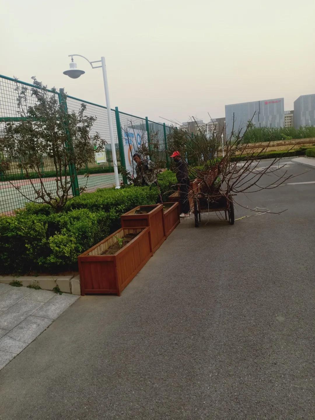 最美校园获奖照片,喜报学校荣获全面优胜单位