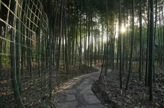 关中八景的草堂烟雾是什么意思,关中八景之一的草堂烟雾在哪里