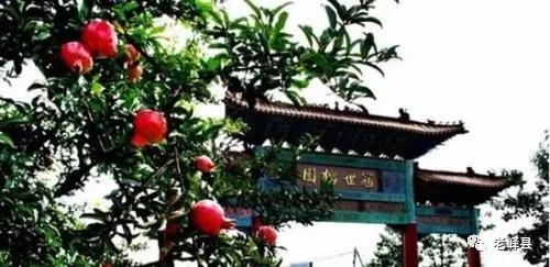 为什么徐州和山东亲近,徐州为啥和山东差不多