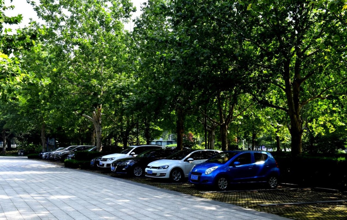 汽车白车漆有黄斑怎么去除,新车银色车漆黄斑怎么去除