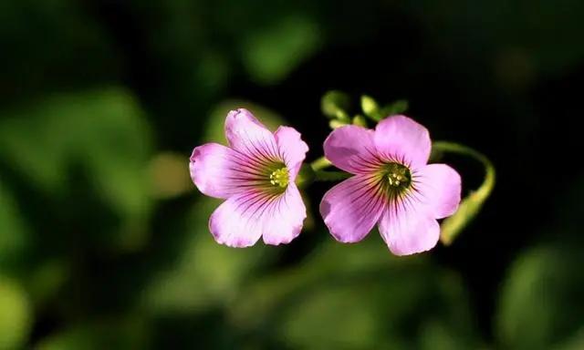 太累的话就给自己按个暂停键吧,感觉很累的时候还应不应该坚持