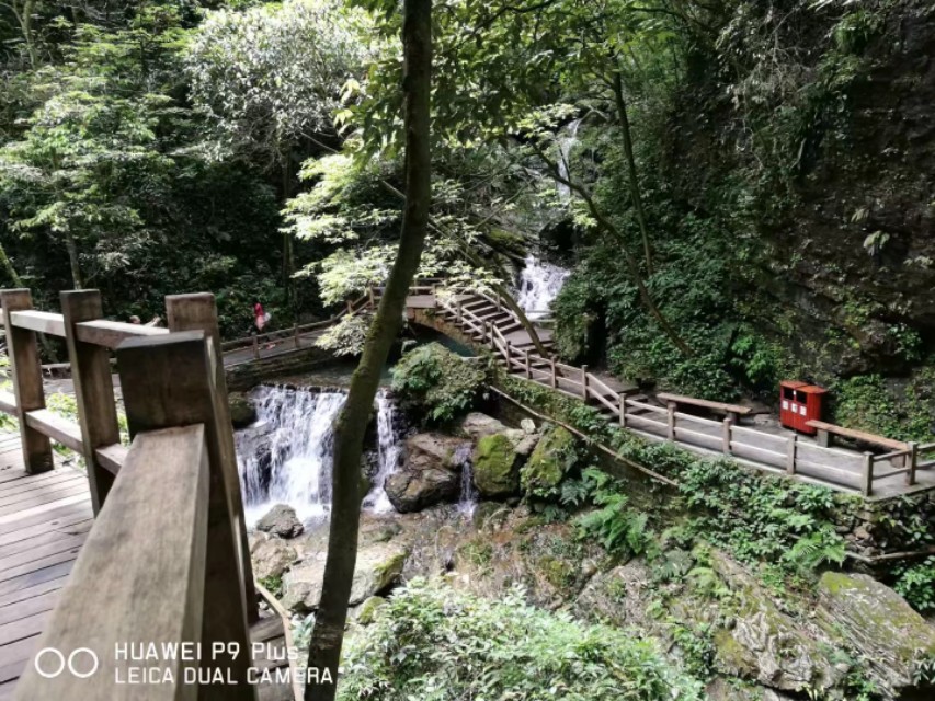 重庆黑山谷避暑适合吗,重庆避暑7天黑山谷