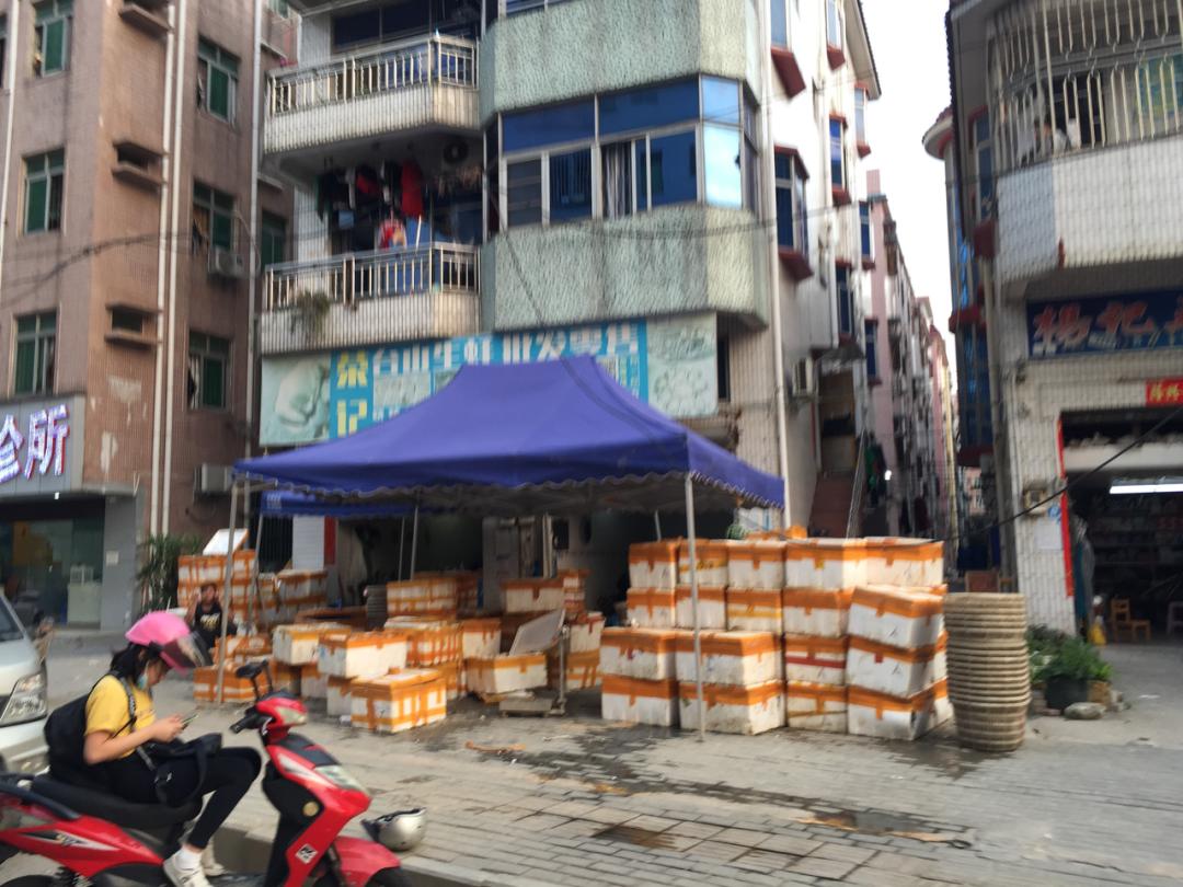 宝安西乡超级旧改项目,深圳宝安37区城市旧改有什么进展