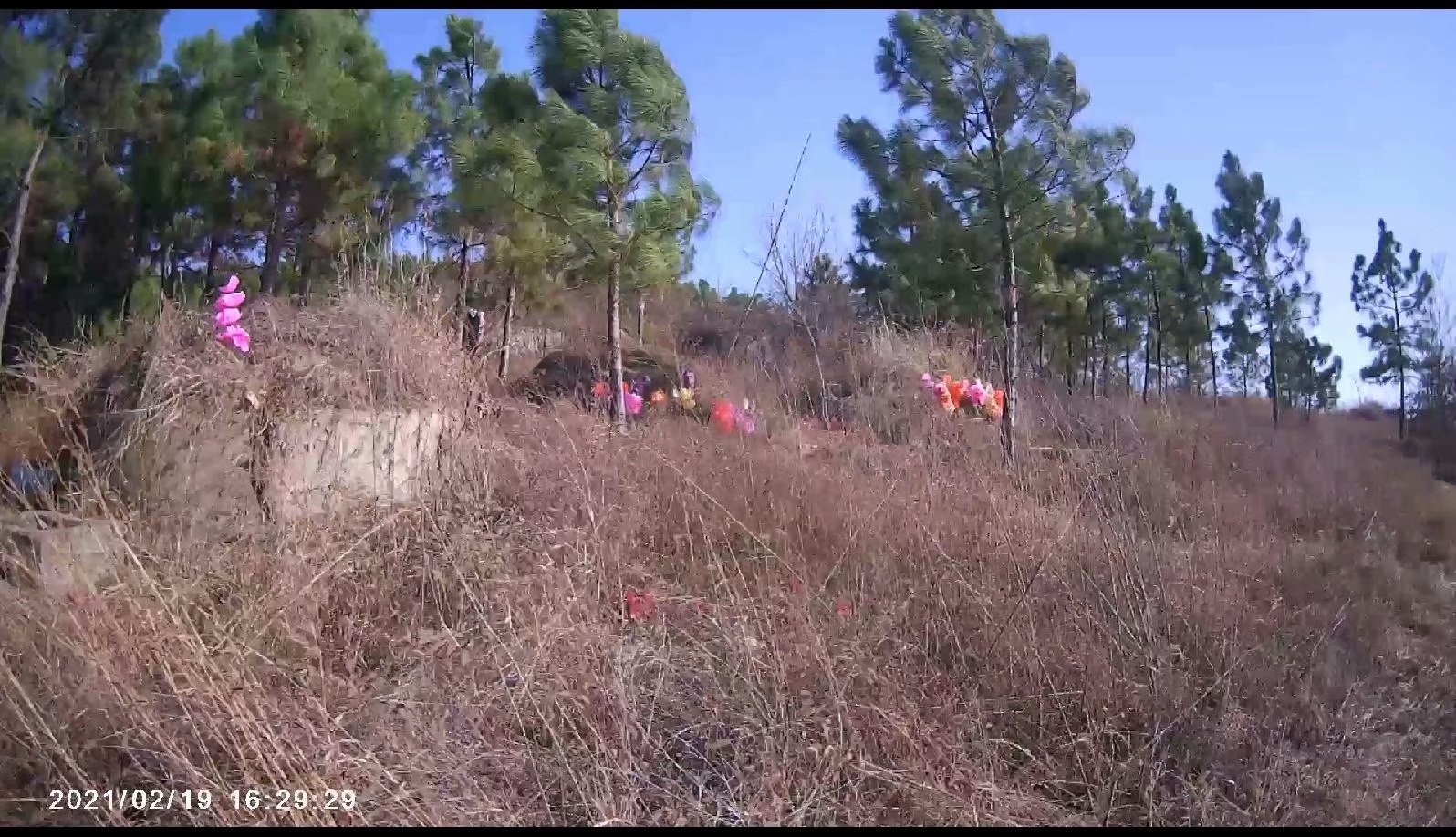 摩托周边旮旯游——探访蚌埠李楼鲁山寺遗址（上）