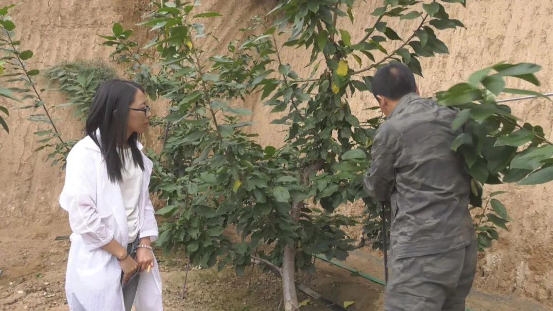 走基层看变化,走乡村看变化