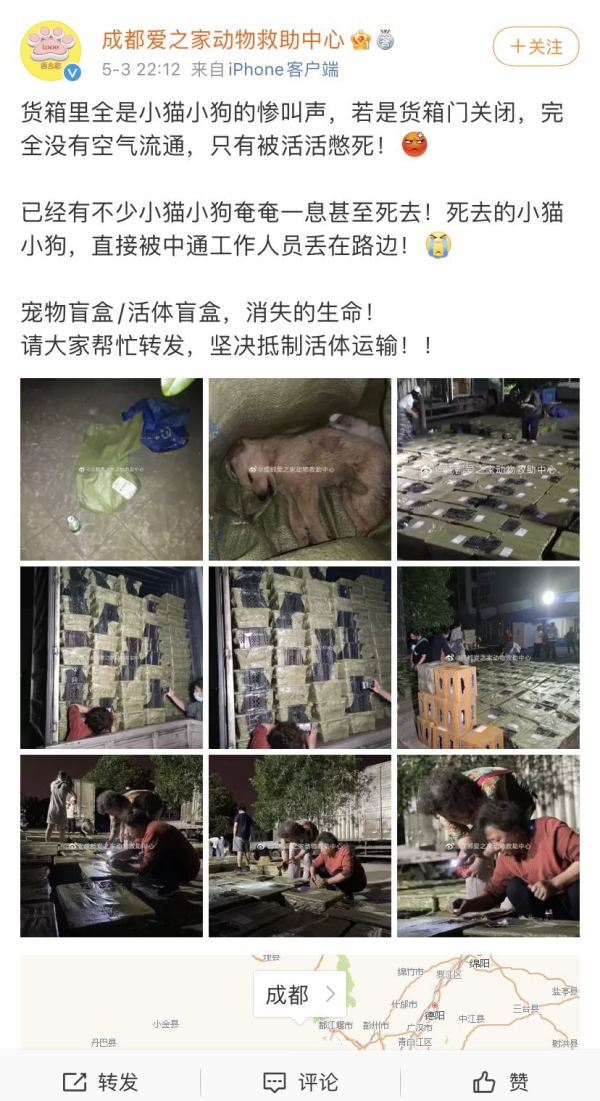 “宠物盲盒”再次隐秘上架：血染的快递，是宠爱还是*杀虐**