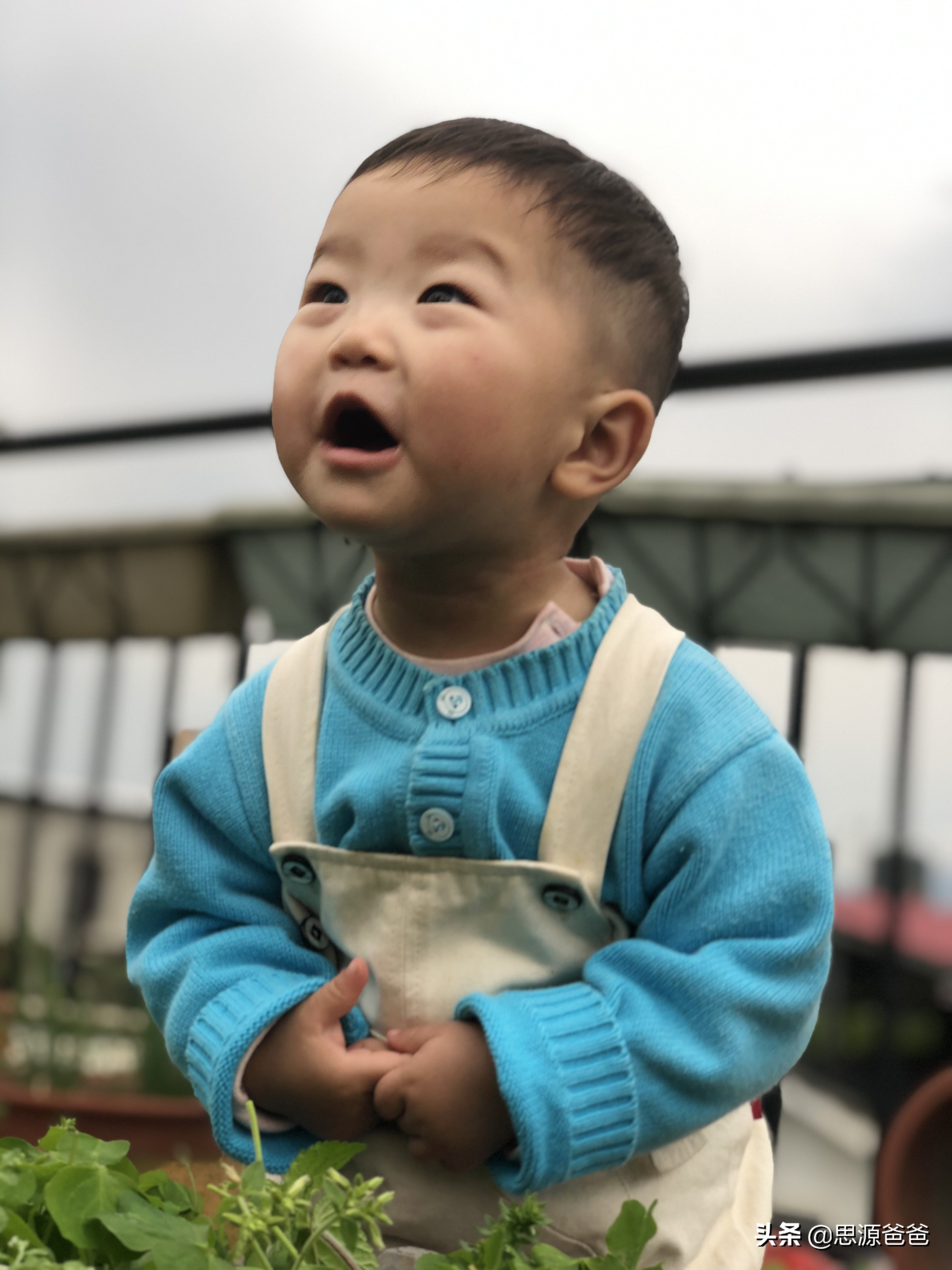 英语培训机构内训课程,英语培训教材推荐