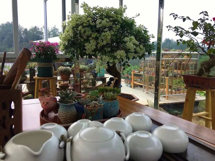 冬去春来,愿你无恙,疫情退去,养肉依旧!