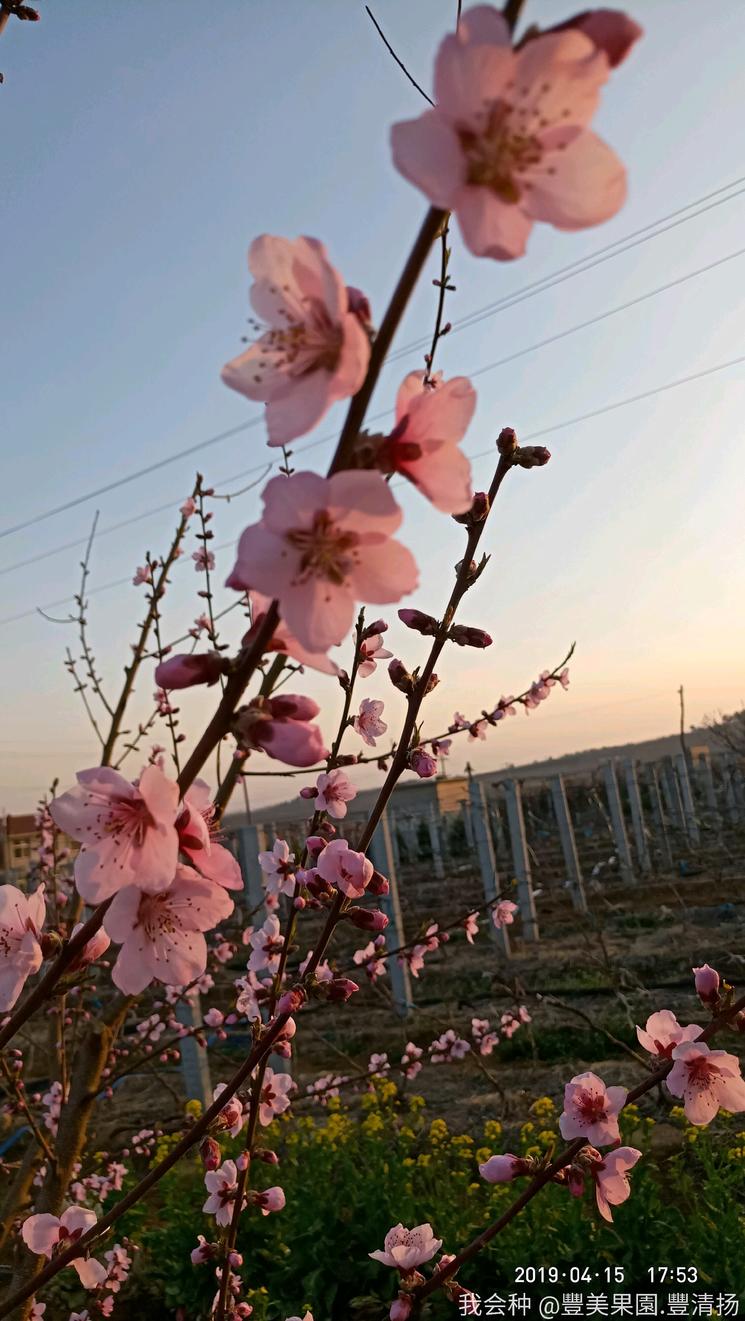 诗和远方在身边完整版,诗和远方在身边