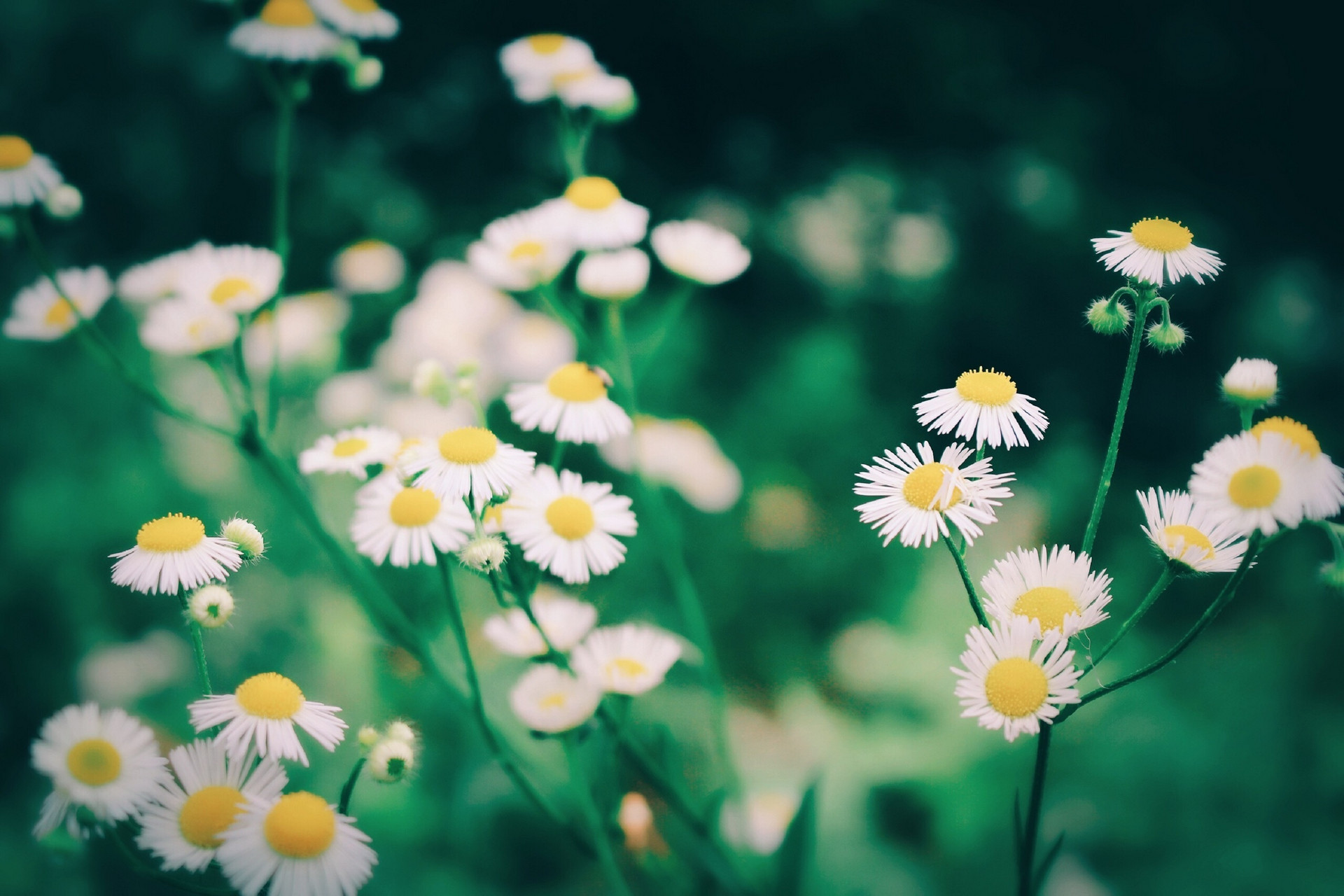 感情淡了如何升温,让对方冷静下来感情会变淡