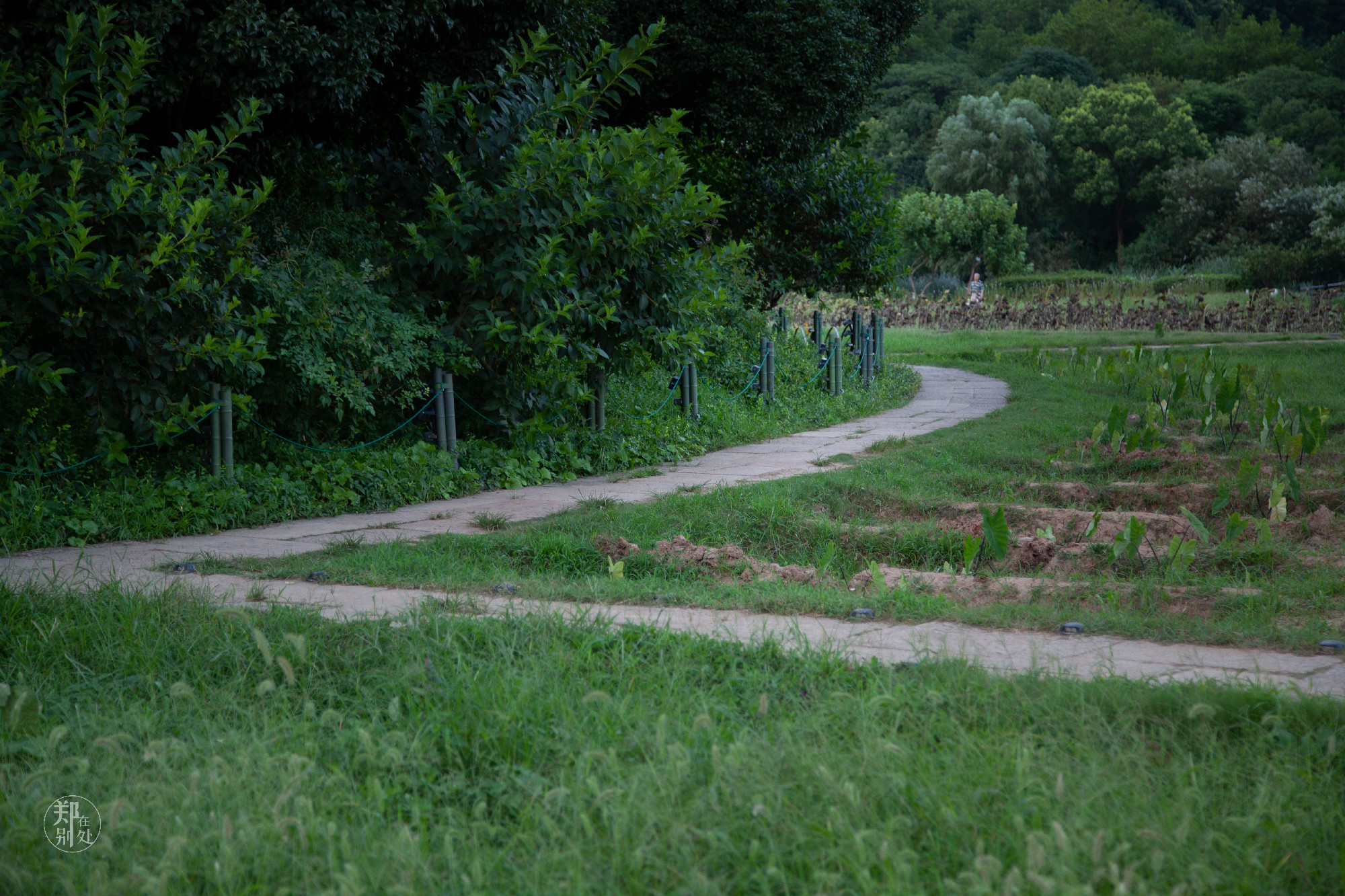 坐公交游杭州几路最好,杭州87路公交沿路风景