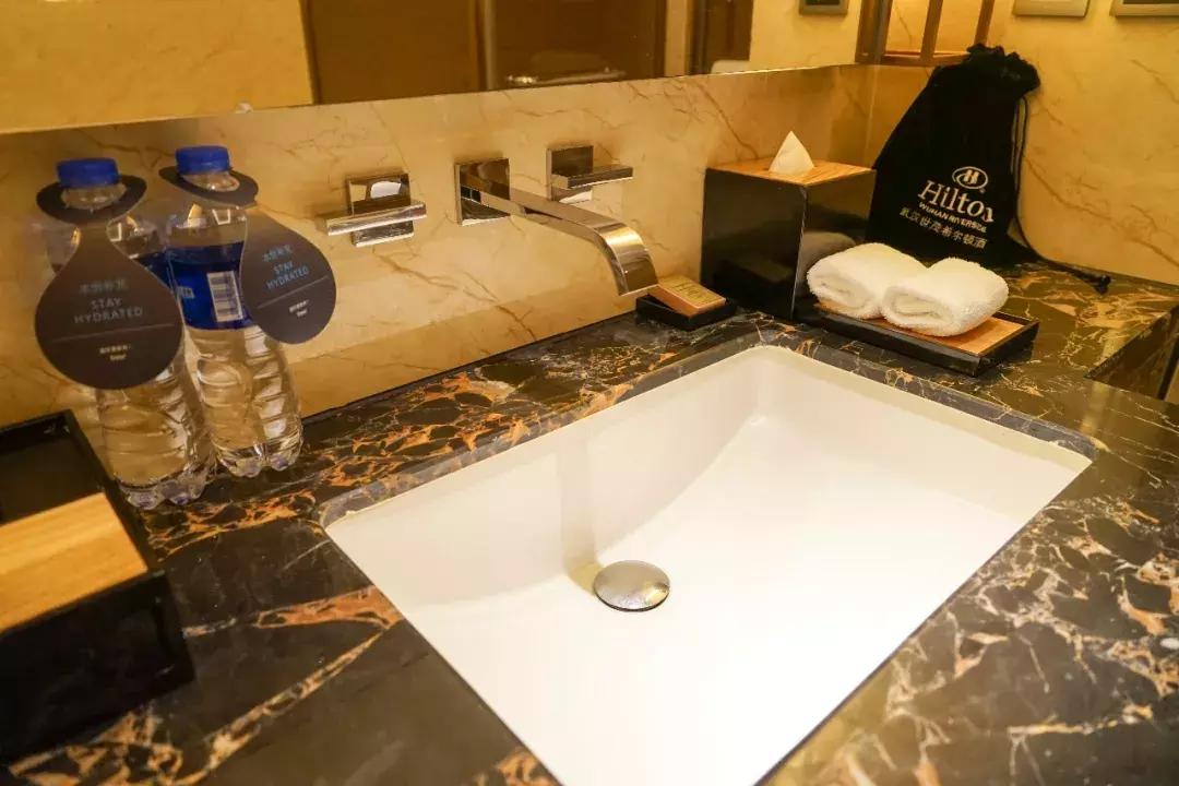 武汉世茂希尔顿酒店价格,思远说出的话