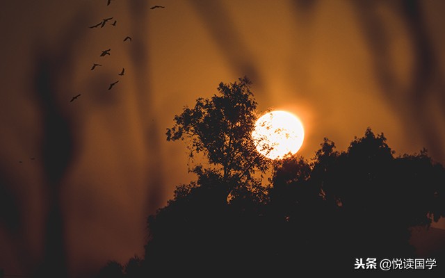 列子御风而行国学经典片段,列子为什么是御风而行