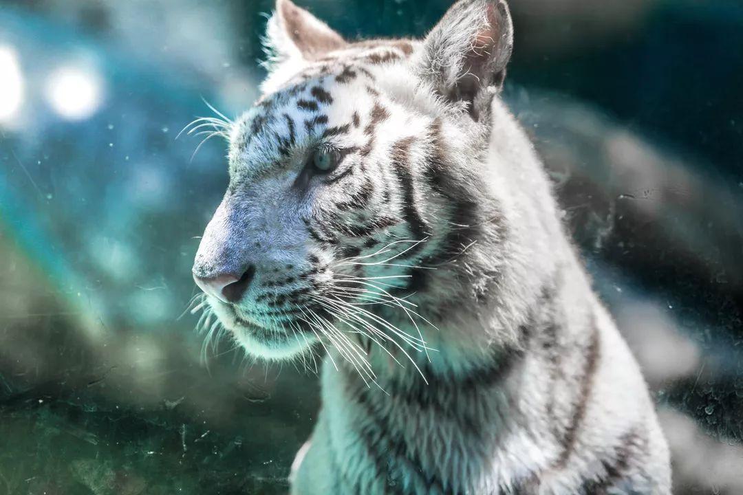 厦门周边适合亲子游的最佳地方,适合1-4岁亲子游的地方厦门