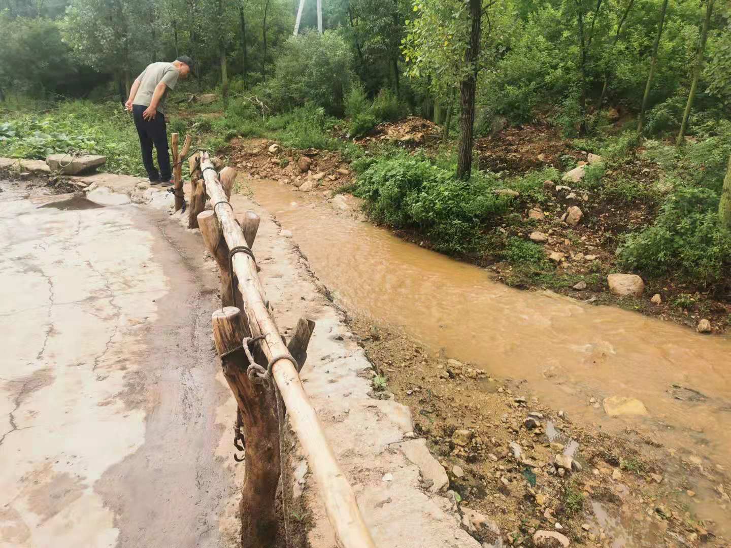 让党旗在防汛抗洪一线高高飘扬,党徽在防控一线熠熠生辉