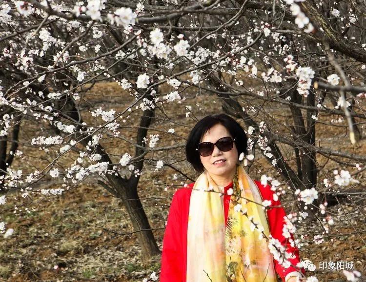 晋城哪里可以春游,晋城附近春游景点