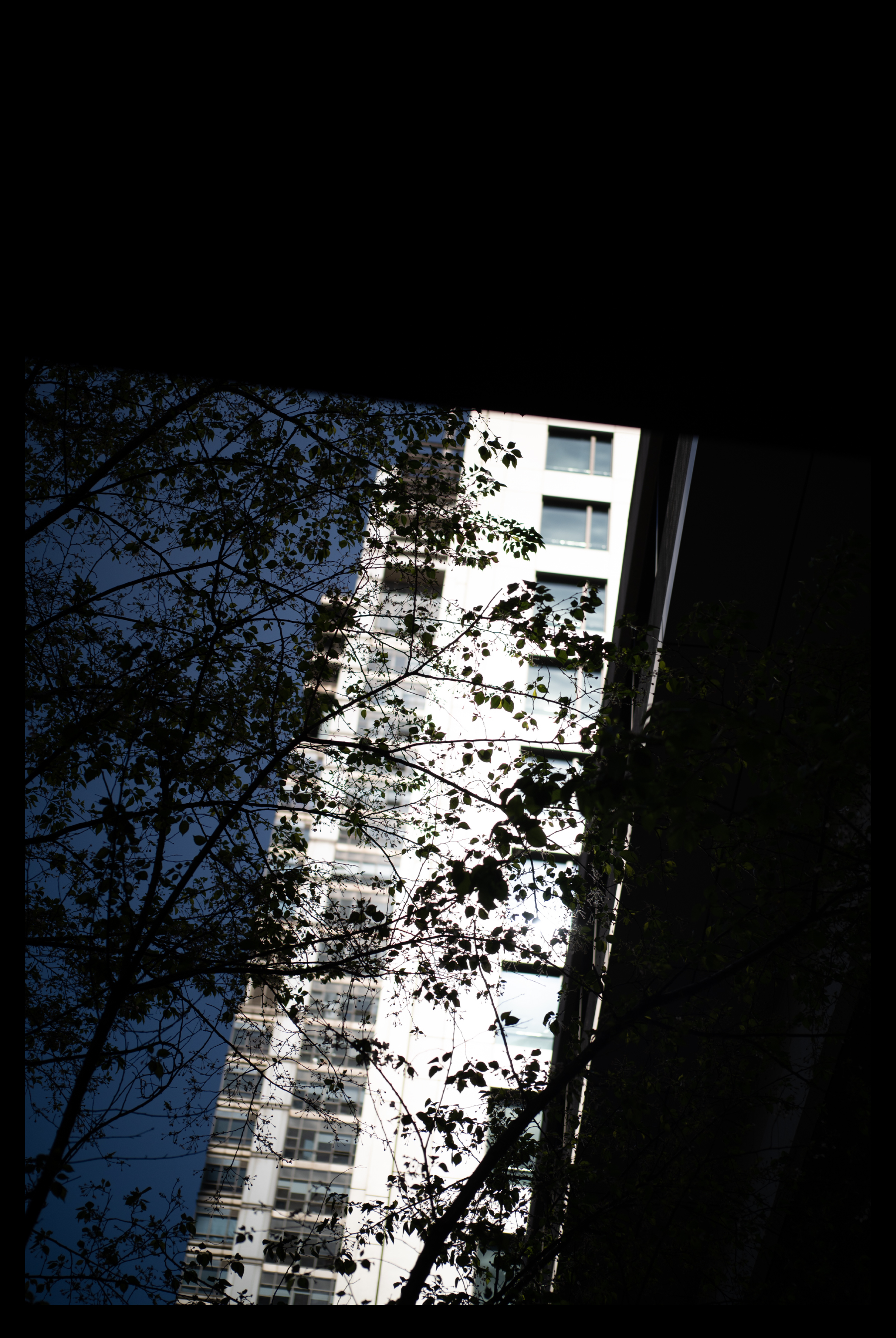 福伦达35mm1.5镜头好不好,福伦达35f2镜头评测