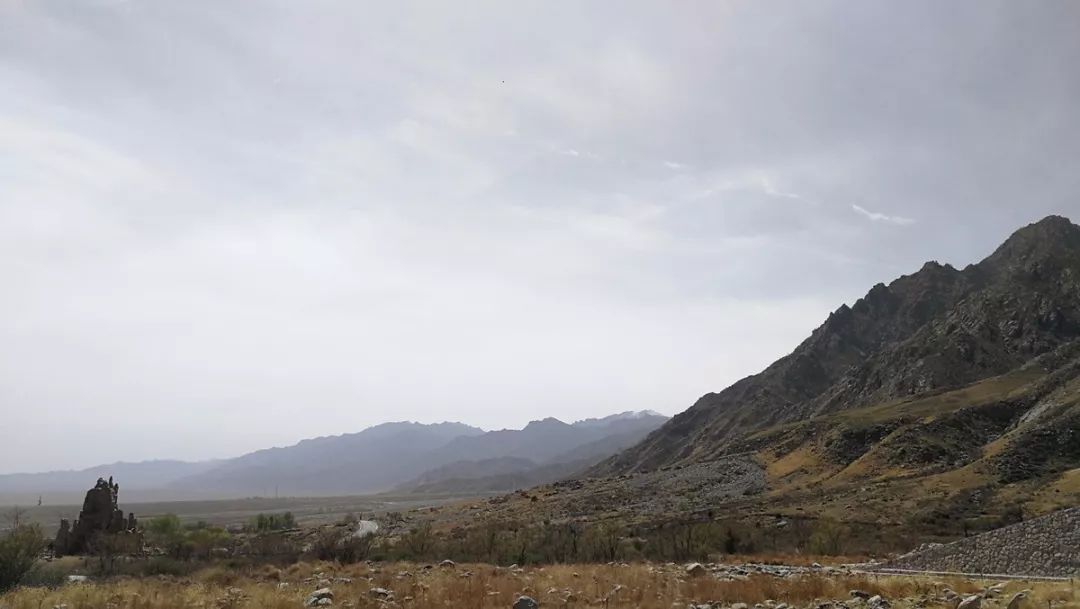 茶烟缭绕,茶烟缭绕什么歌