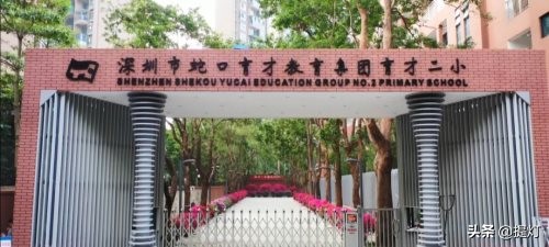 育才一小和育才二小的升学率武汉,育才一小和育才二小对口的中学