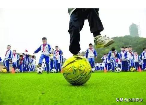 岳阳青少年教育学校有哪些,岳阳足球学校