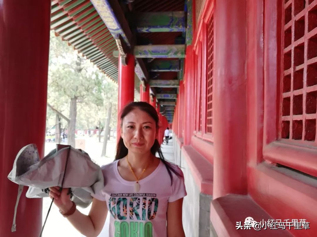 曲阜孔府孔庙孔林历史背景,曲阜孔府孔庙孔林一游