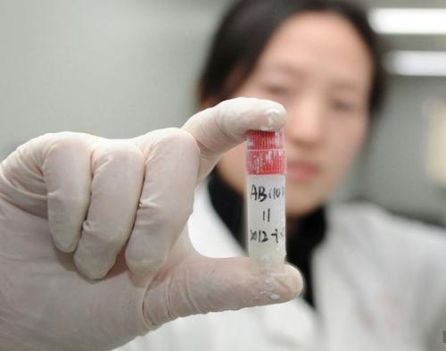 怎样才能检测小蝌蚪的数量,小蝌蚪成活率是多少合格