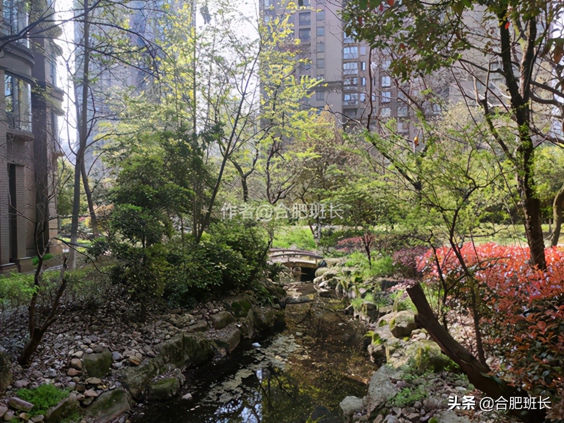 合肥水景房推荐,合肥绿地海顿公馆是住宅吗