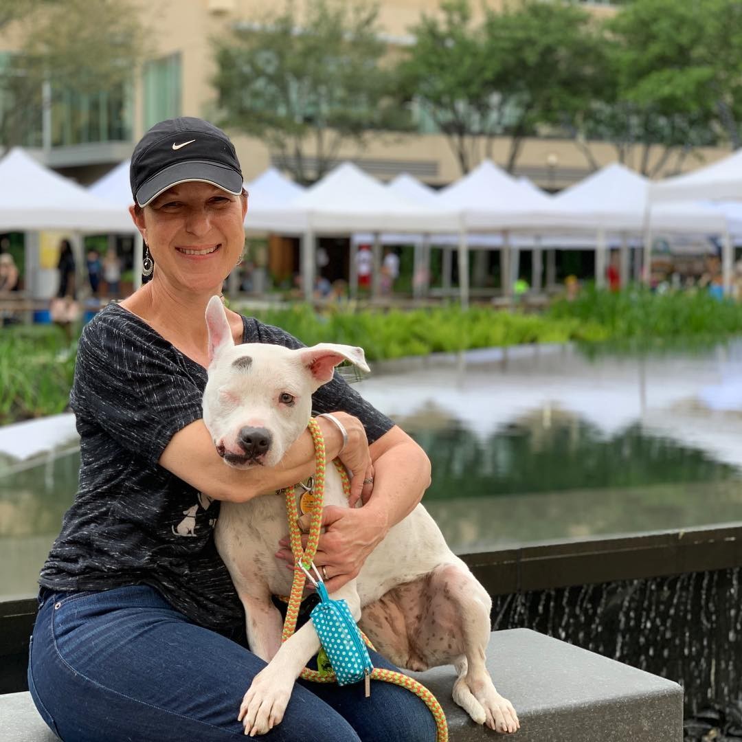 狗狗被虐待暴打时都在想什么,狗被警察用霰弹枪击中