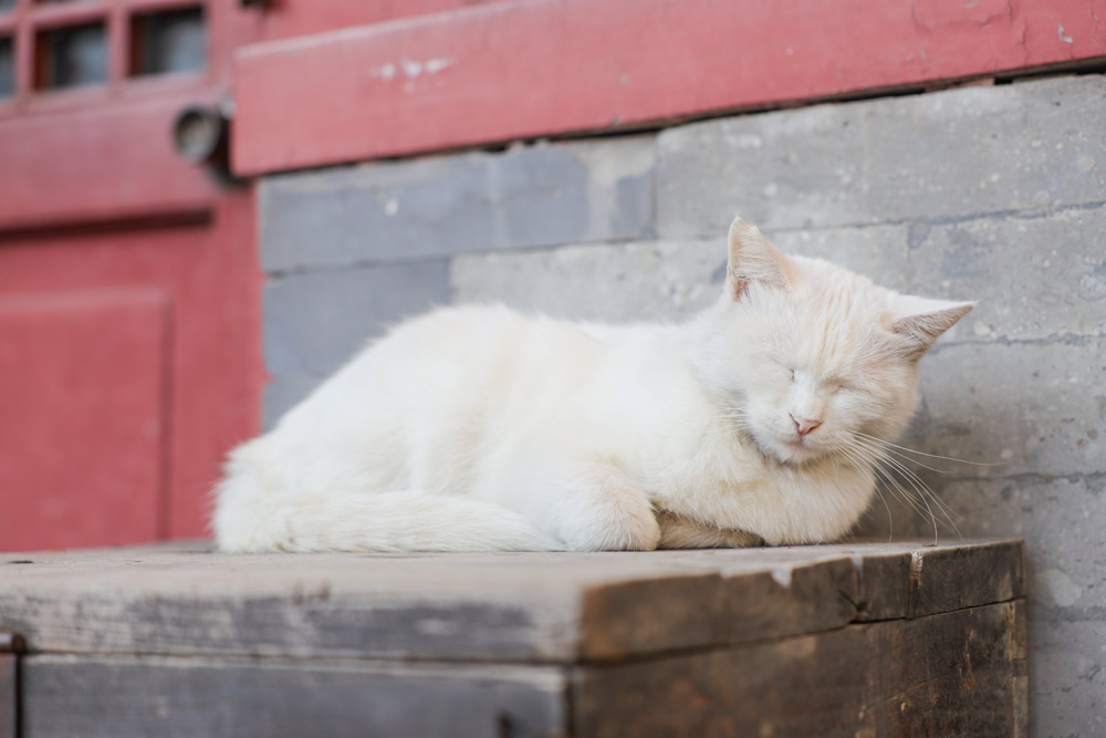 佳能eosm200测评,相机推荐入门佳能eosm200