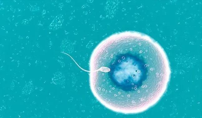 明明相爱却不能在一起什么感受,相爱却不能在一起的原因有哪些