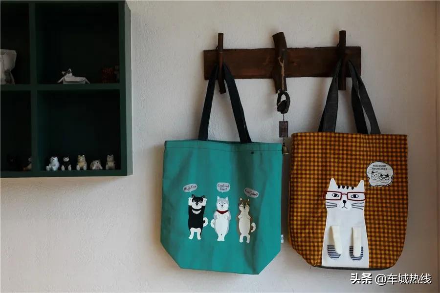 萌化了！十堰茅箭区首届撸猫节，周末约起