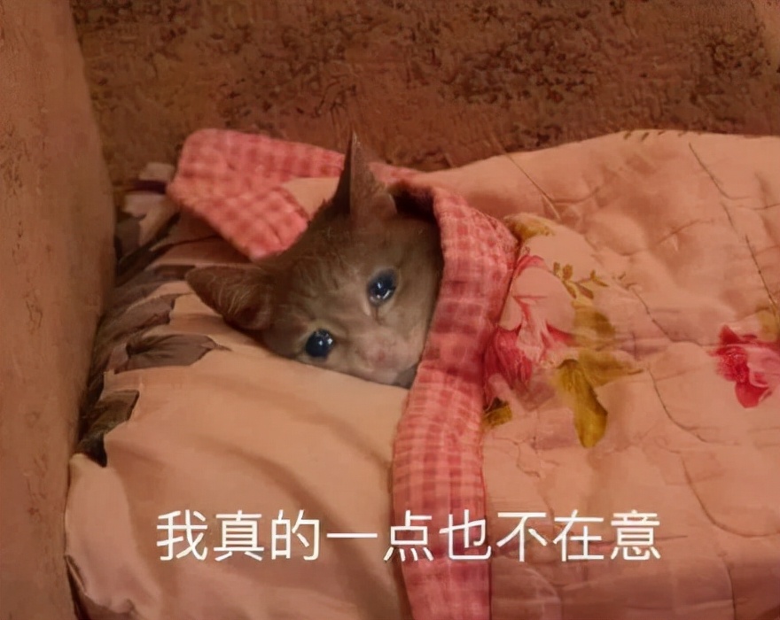 盗墓笔记有没有详细说明,盗墓笔记大多数人不知道的秘密