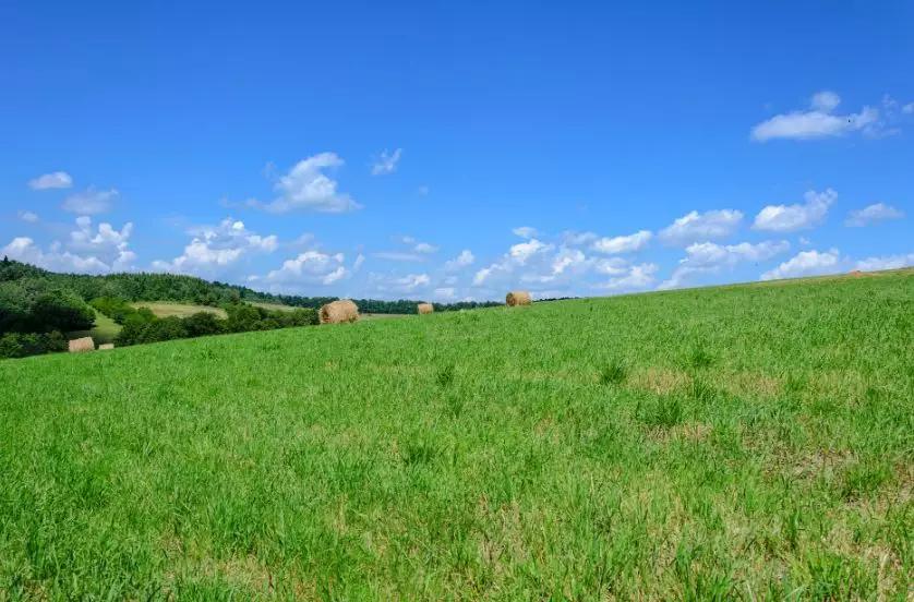 “明”字家族：明、萌、盟，在黑暗中等待唤醒的生命