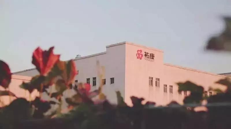 祐康启动重整流程：谁将成为它的新主人？